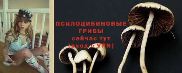 mix Баксан
