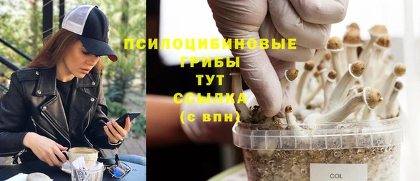 a pvp Балабаново